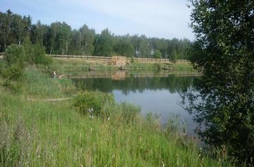 Всеволодово. Фото 5737.