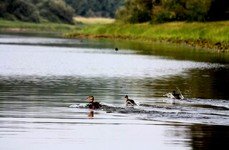 Глухое. Фото 5749.