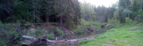 Дальний кордон. Фото 5769.