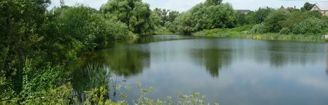 Дальние прудищи. Фото 5775.