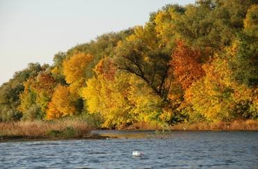 Гусиный остров. Фото 5782.