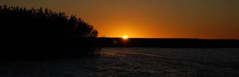 Гусиный остров. Фото 5787.