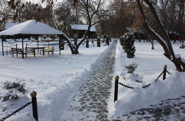 Дельта Трофи. Фото 5826.