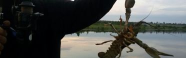 Клёвая рыбалка. Фото 583.
