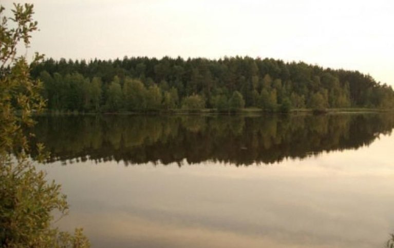 Дубенка
