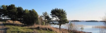Уксунлахти. Фото 598.