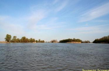 Золотая дельта. Фото 5987.