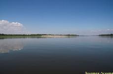 Золотая дельта. Фото 5993.