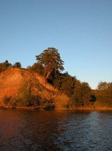 Зелёный мыс. Фото 5997.