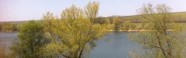 Ивановский пруд. Фото 6024.