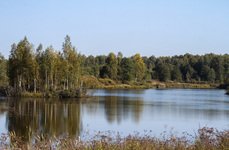 Экомир. Фото 6063.