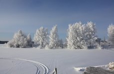 Рыбинский трофей. Фото 6091.