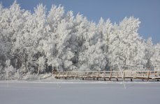 Рыбинский трофей. Фото 6096.