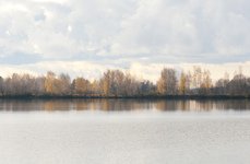 Лотошинский. Фото 6173.