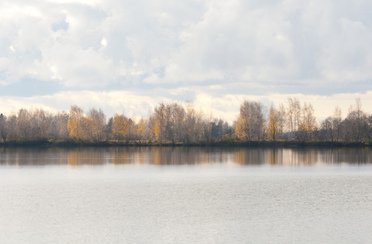 Лотошинский. Фото 6173.
