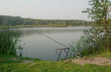 Лосиный остров. Фото 6181.