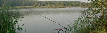 Лосиный остров. Фото 6181.