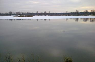 Лосиный остров. Фото 6183.