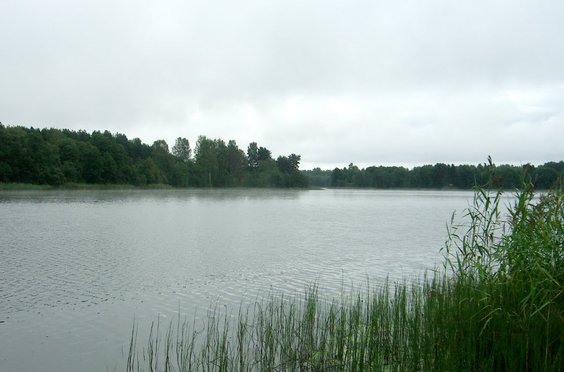 Озеро наволок удомельский район