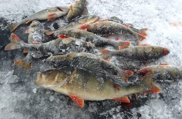 Пяозеро. Фото 626.