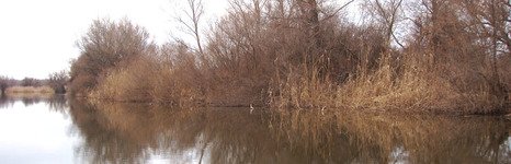 Найт Флайт Дельта. Фото 6287.