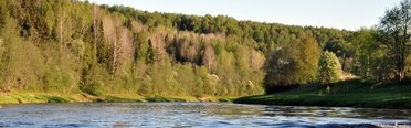 Оять. Фото 6354.