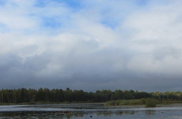 Песье. Фото 6374.