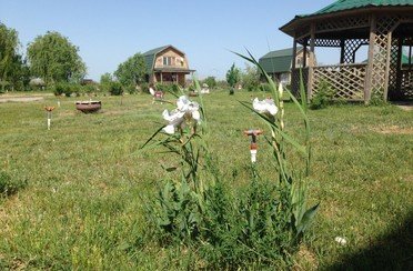 Русская усадьба. Фото 6479.