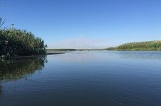 Русская усадьба. Фото 6480.