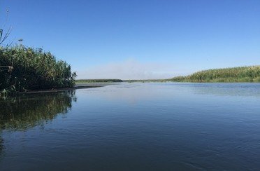 Русская усадьба. Фото 6480.