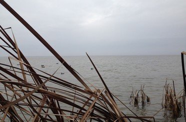 Русская усадьба. Фото 6482.