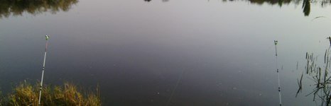 Рыбачок. Фото 6519.