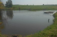 У дяди Вани. Фото 6607.