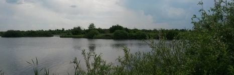 Меркурий. Фото 6731.