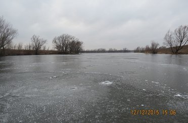 Черемушки. Фото 6749.