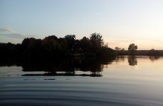 Черемушки. Фото 6750.