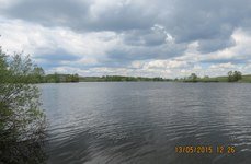 Черемушки. Фото 6752.