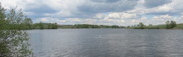 Черемушки. Фото 6752.