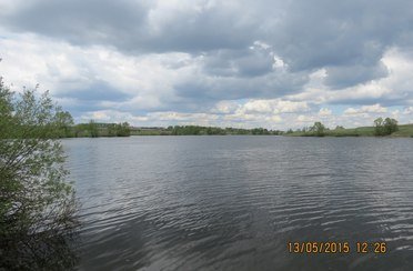 Черемушки. Фото 6752.