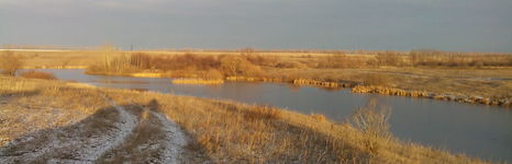 Черемушки. Фото 6753.