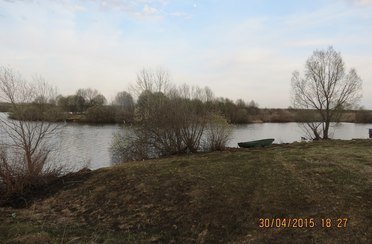 Черемушки. Фото 6754.