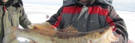 Кудесник. Фото 6781.