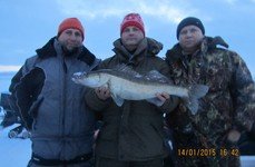 Кудесник. Фото 6786.