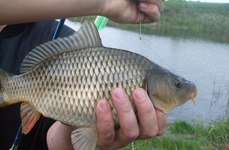 Дубенской пруд. Фото 6795.