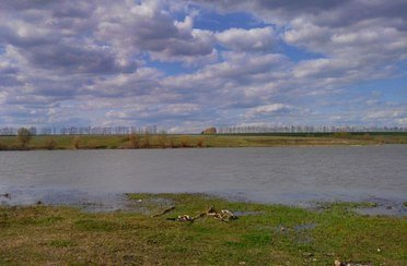 Судосево. Фото 6808.