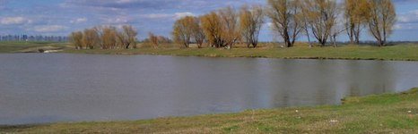 Судосево. Фото 6811.