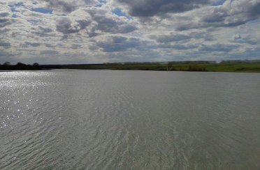 Судосево. Фото 6813.