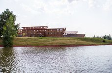 Кленовая роща. Фото 6818.