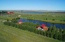 Кленовая роща. Фото 6827.