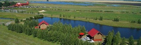 Кленовая роща. Фото 6827.